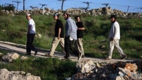 مسؤول أمريكي: إدارة بايدن تدين عنف المستوطنين ضد الفلسطينيين بالقرب من الخليل