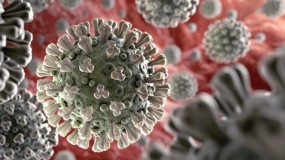 الصحة العالمية: فيروس (كورونا) غير حياتنا ولن نعود للوضع الطبيعي القديم