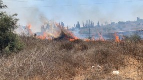 إعلام عبري: اندلاع حريق في "إشكول" يشتبه بأنه بفعل بالونات حارقة أطلقت من غزة