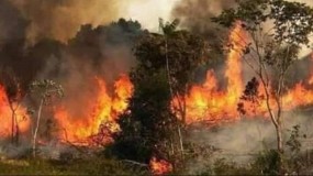 جنين: الدفاع المدني يعلن نفوق (10) آلاف صوص دجاج إثر حريق مزرعة في بلدة قباطية