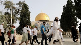 القدس المحتلة : عشرات المستوطنين الإرهابيين يقتحمون "الأقصى"