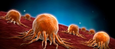 علماء يتوصلون لطريقة لقتل الأورام السرطانية بفيروس الهربس..