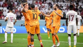 هولندا تتأهل الى الدور الثاني بعد فوزها على قطر بهدفين لصفر في كأس العالم