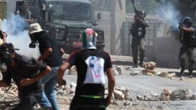 استطلاع: ثلثا الشعب الفلسطيني يؤيد العمل المسلح ردا على "خطة ترامب"
