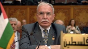 المالكي: اجتماع اللجنة الوزارية العربية حمل نتائج إيجابية تحتاج الى متابعة