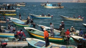 "الزراعة" بغزة: فتح البحر أمام الصيادين